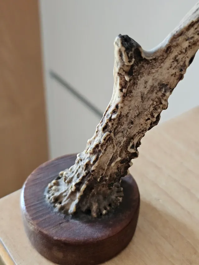 Oggetto decorativo vintage rustico