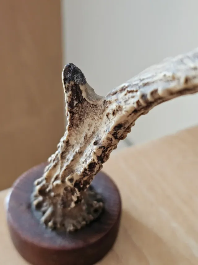 Oggetto decorativo vintage rustico