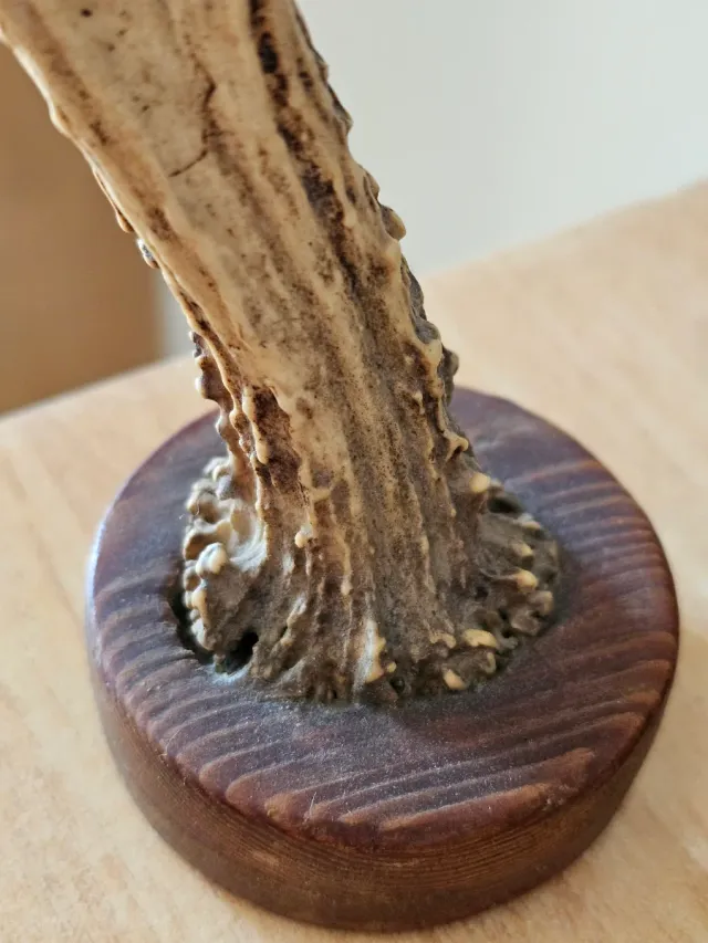 Oggetto decorativo vintage rustico