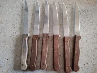 Set 6 coltelli con manico in legno