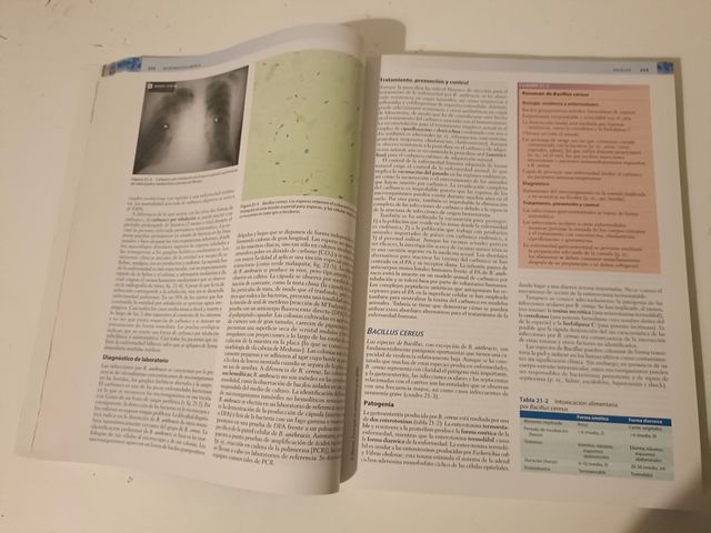 Microbiología Médica 7ª edición