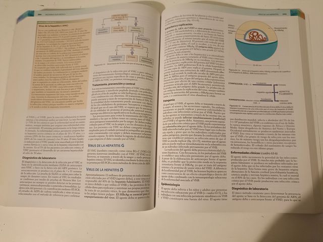 Microbiología Médica 7ª edición