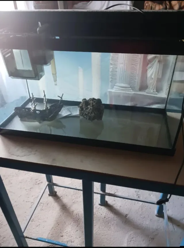 Pecera con decoraciones