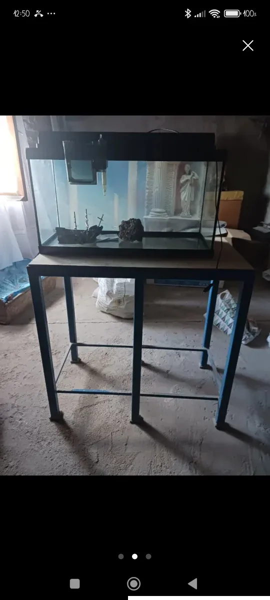 Pecera con decoraciones