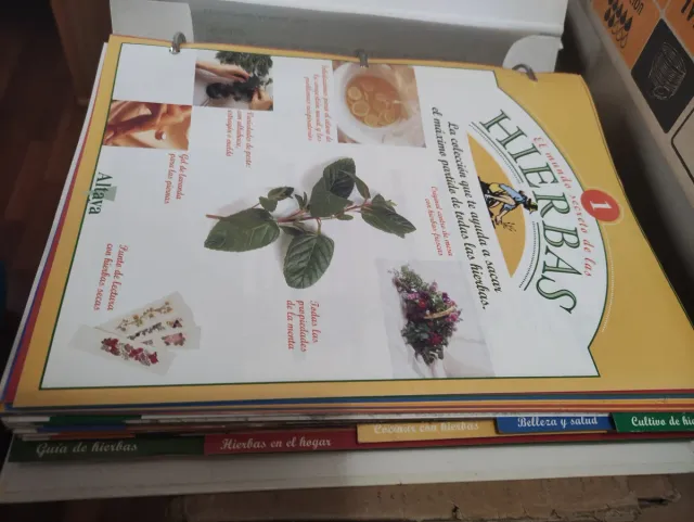 El mundo secreto de las hierbas