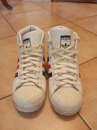 Adidas Superstar modello alto