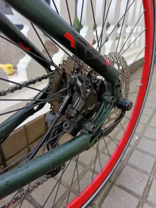 Orbea Carpe Monoplato Disco Verde/Roja