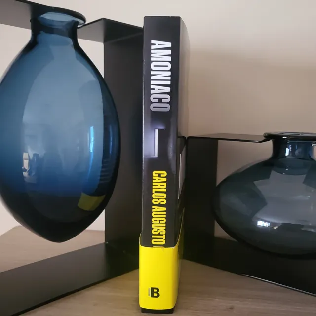 Amoniaco: Ser asistenta y asesina tiene una ven...