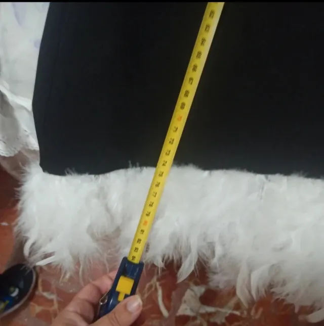 Vestido evase con plumas