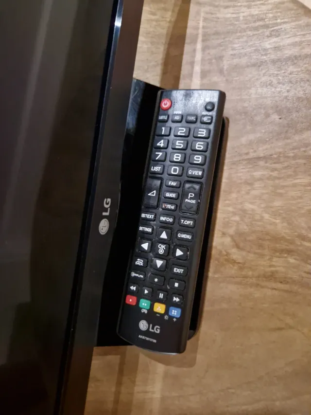 Televisor LG Negro 24"