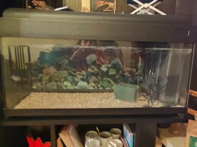 Acuario Negro y Transparente