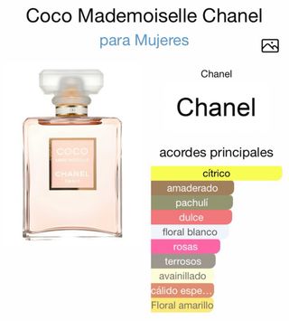 Perfume Arabia Madame Le Chameau