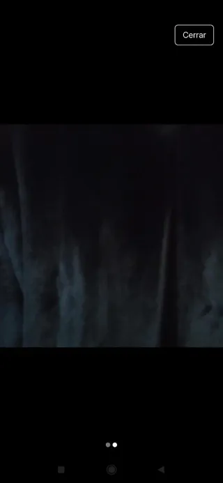 Abrigo de pelo negro