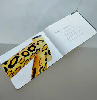 Catálogo Klein Original