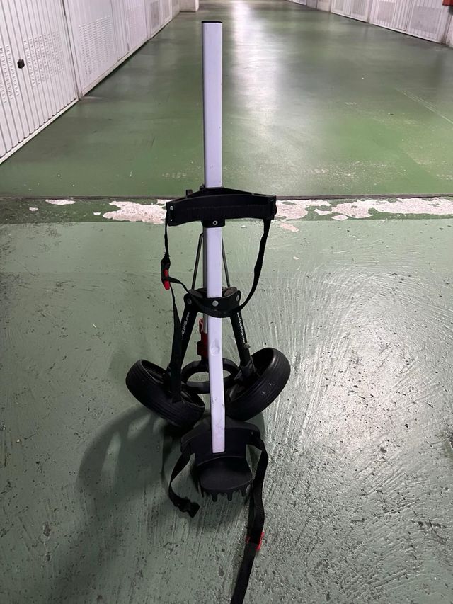 Carro de golf plegable