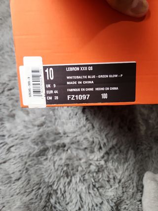 Nike LeBron xxii