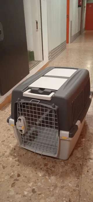Transportín IATA para mascotas 72x52x51