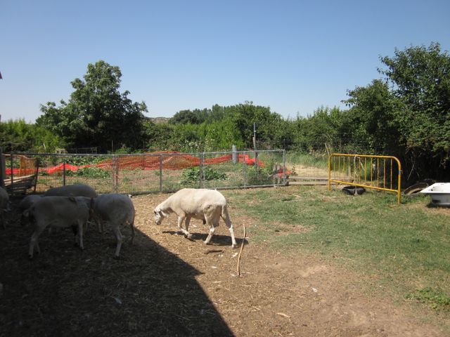 Alquiler de huerto urbano