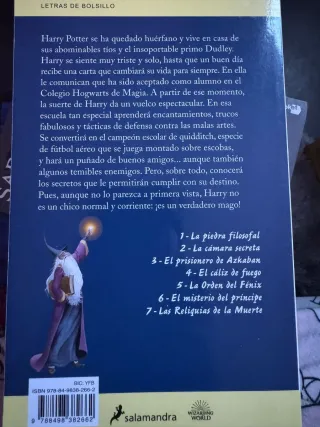 Harry Potter y la piedra filosofal (Harry Potte...