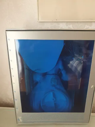 Barbie Holiday Wishes 2003 Edizione Speciale