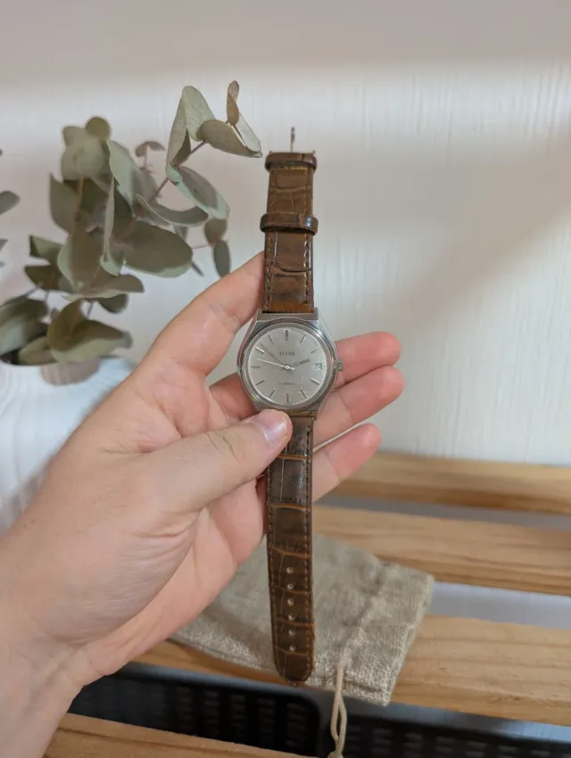 Reloj Mecánico Titus 21 Jewels Años 60-70