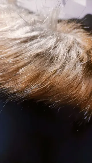 Chaqueta Geographical Norway Expedition