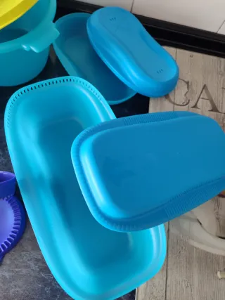Lote Tupperware Azul y Morado