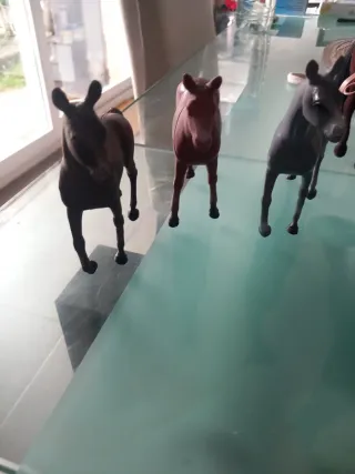 Caballos de colección