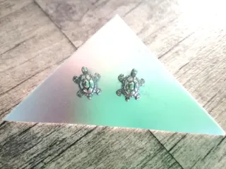 Pendientes Tortuga Plata