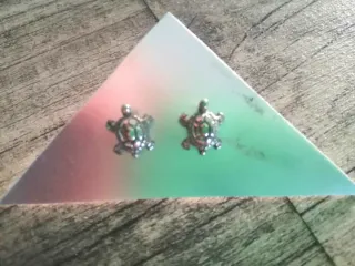 Pendientes Tortuga Plata