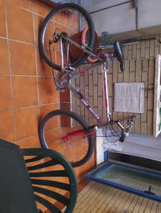 Bicicleta de montaña LOBE ROTTER