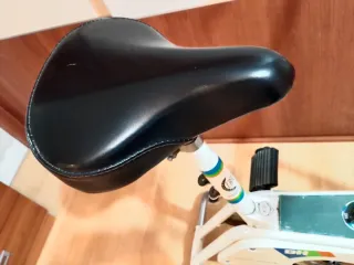 Bicicleta Estática BH