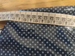 Chubasquero perro azul lunares plástico