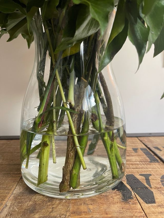 Florero de cristal transparente