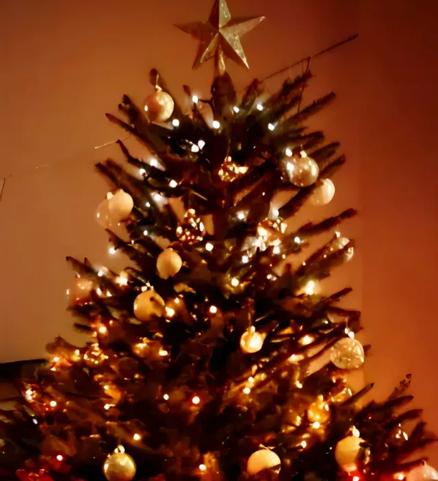 250 LED 50 m Blanco Cálido y enchufe TRANSFORMADOR