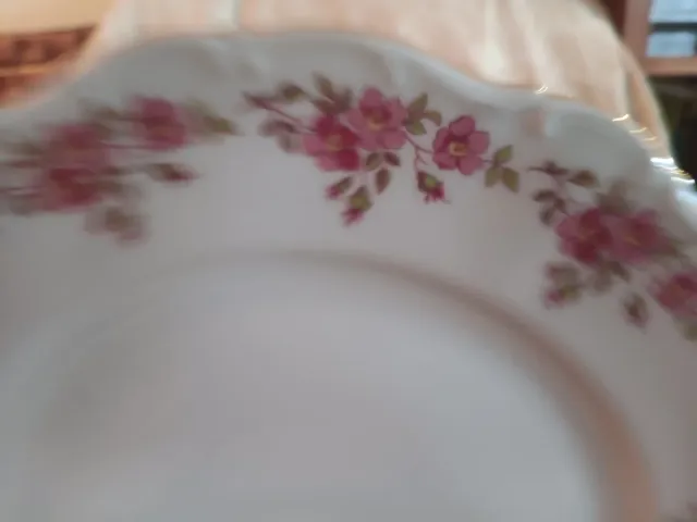 Bandeja y platos postre Bavaria porcelana rosas