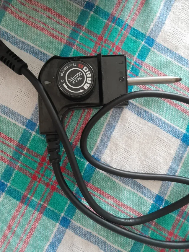 Paellera Eléctrica con Control de Temperatura