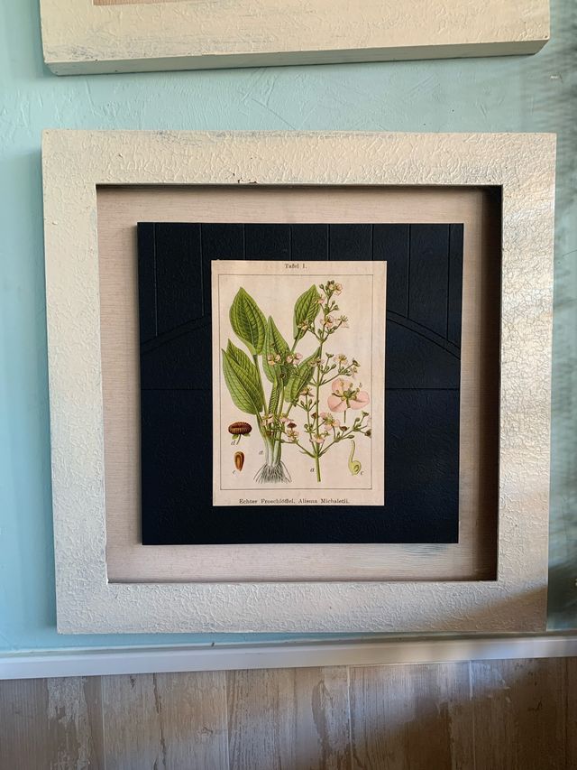 7 Quadri botanica in carta e legno