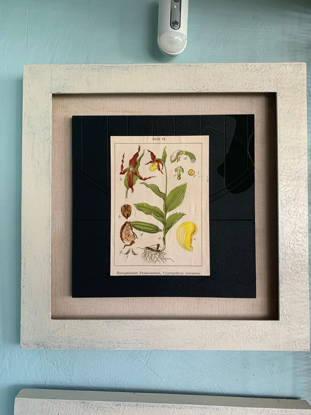 7 Quadri botanica in carta e legno