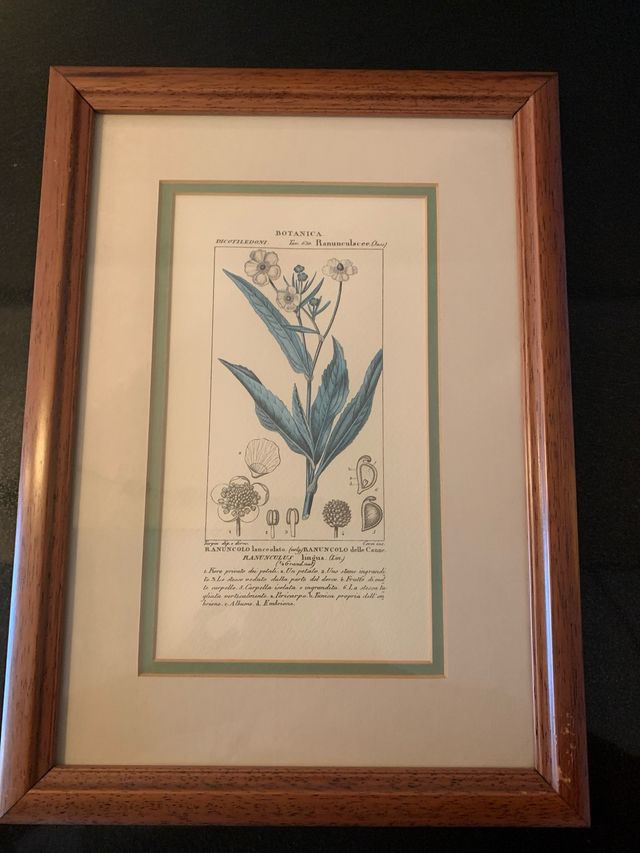 7 Quadri botanica in carta e legno
