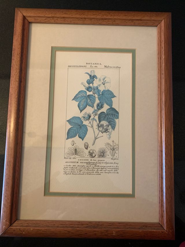 7 Quadri botanica in carta e legno