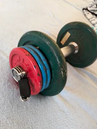 Mancuernas de ejercicios con discos