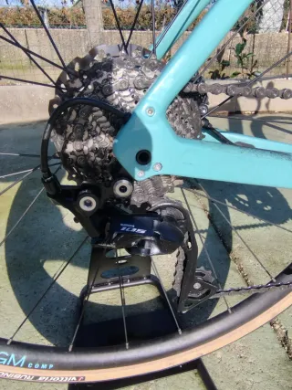 Trek Domane SL5 Gen 4 Carbono