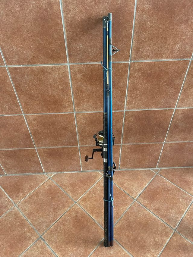 Caña Daiwa Master con carrete Daiwa