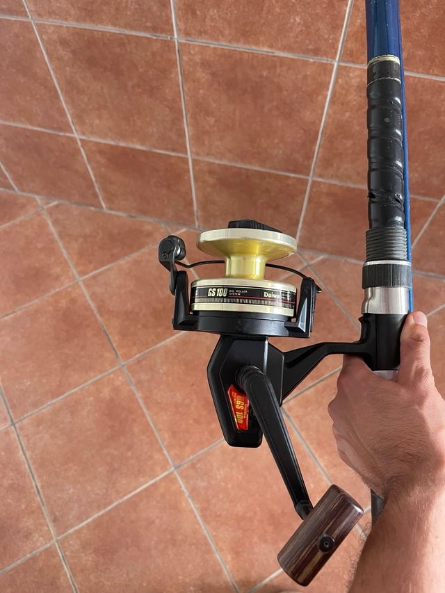 Caña Daiwa Master con carrete Daiwa