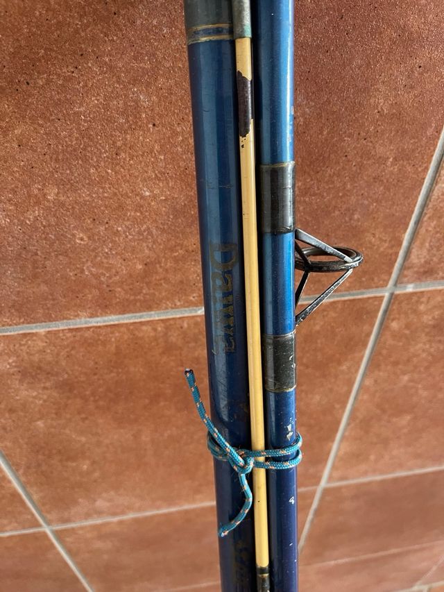 Caña Daiwa Master con carrete Daiwa
