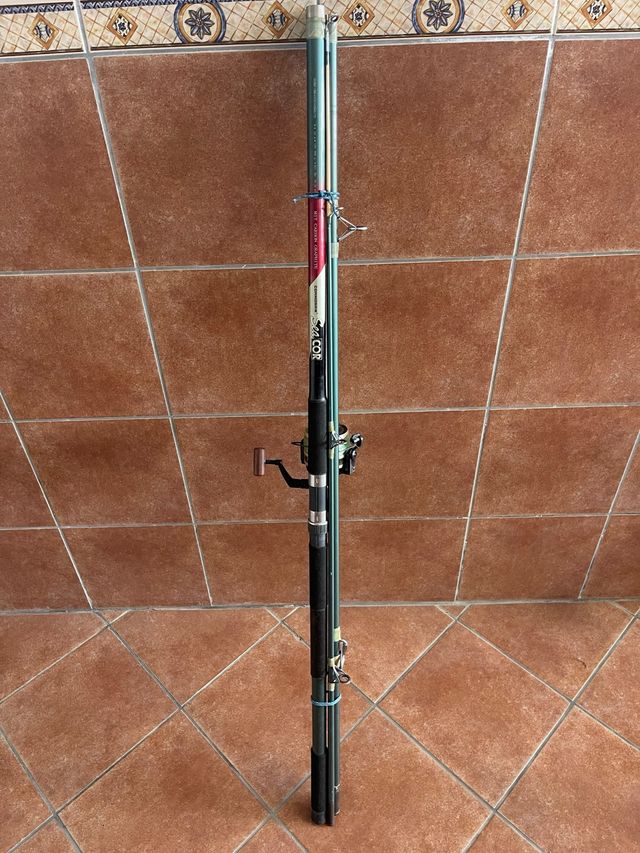 Caña Cormoran Seacor con Carrete Daiwa