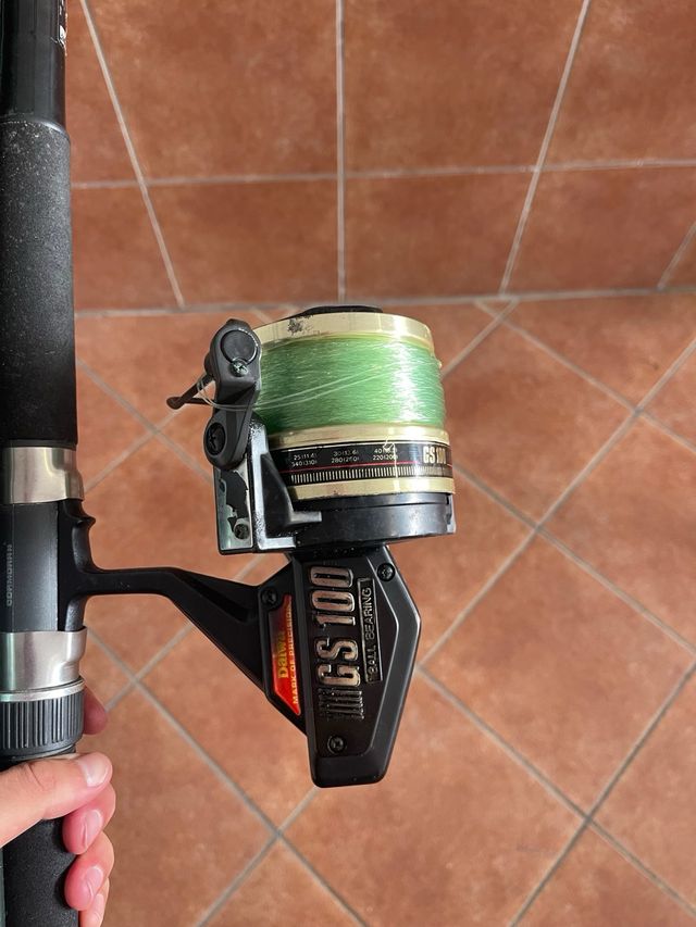Caña Cormoran Seacor con Carrete Daiwa