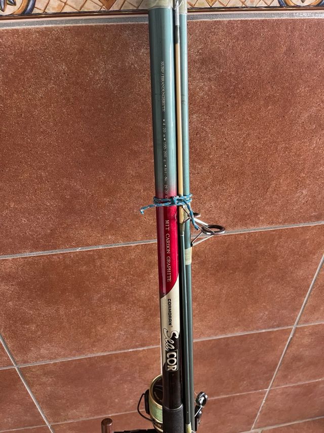 Caña Cormoran Seacor con Carrete Daiwa