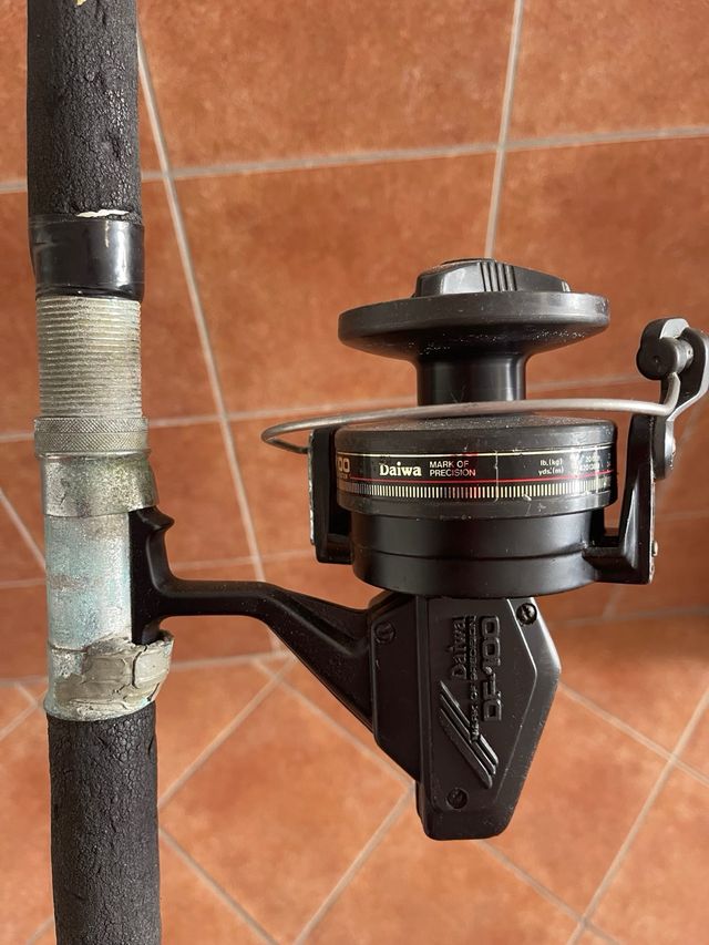 Caña de pescar con carrete Daiwa